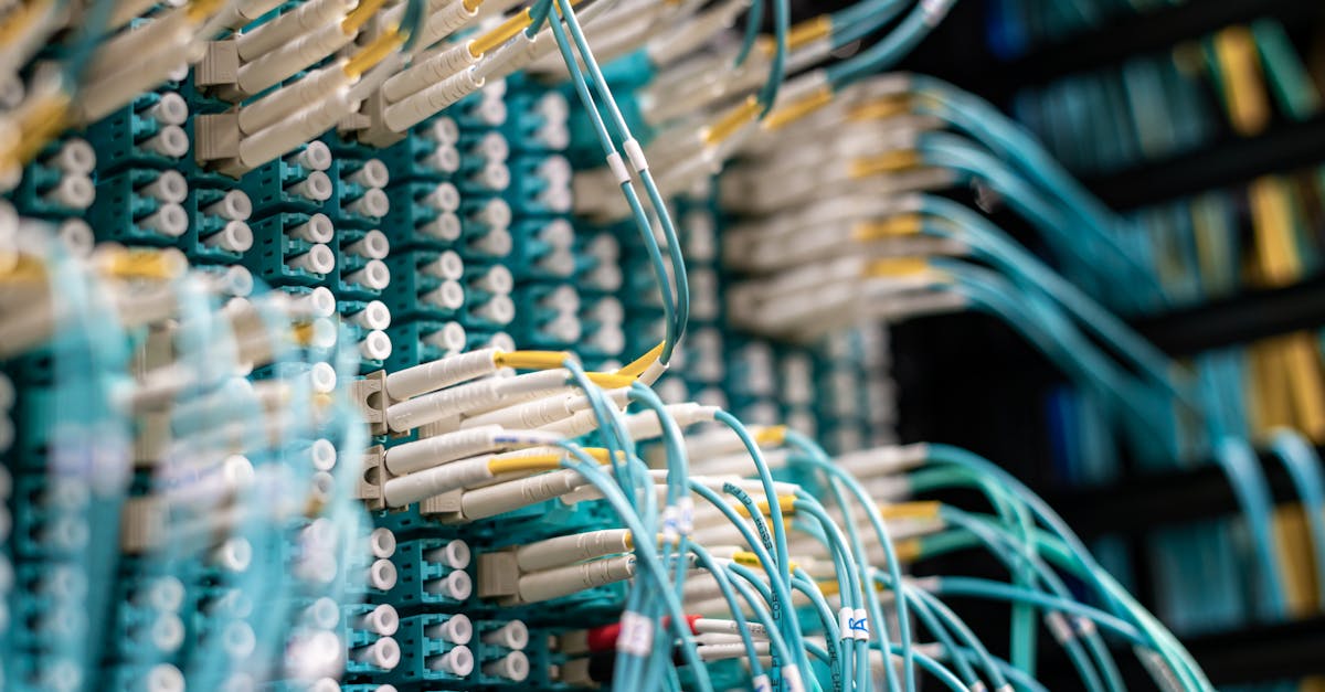 什么叫做“黑客道德”?