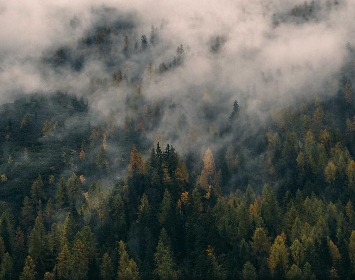 国内微信号:001项目规划app详情下载教程