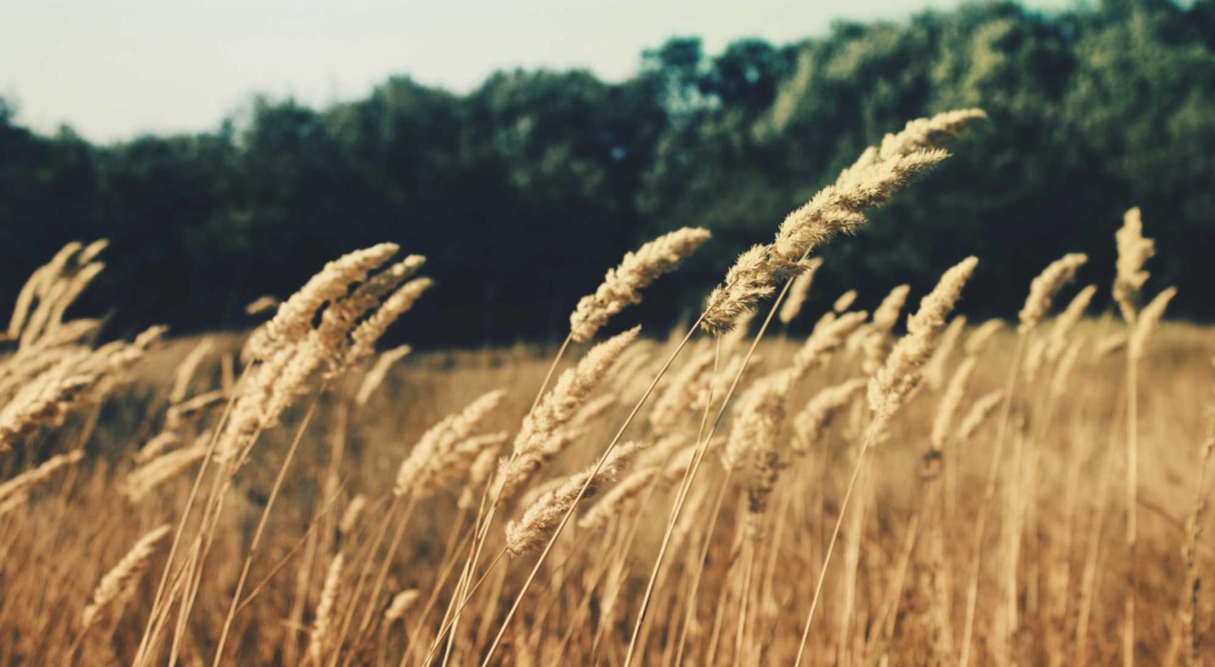 他趣实名账号:如何自己注册账号密码修改