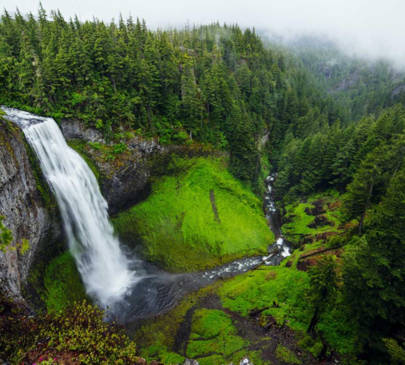 有些玩家使用技术支持只是为了打发时间,并不想影响游戏平衡