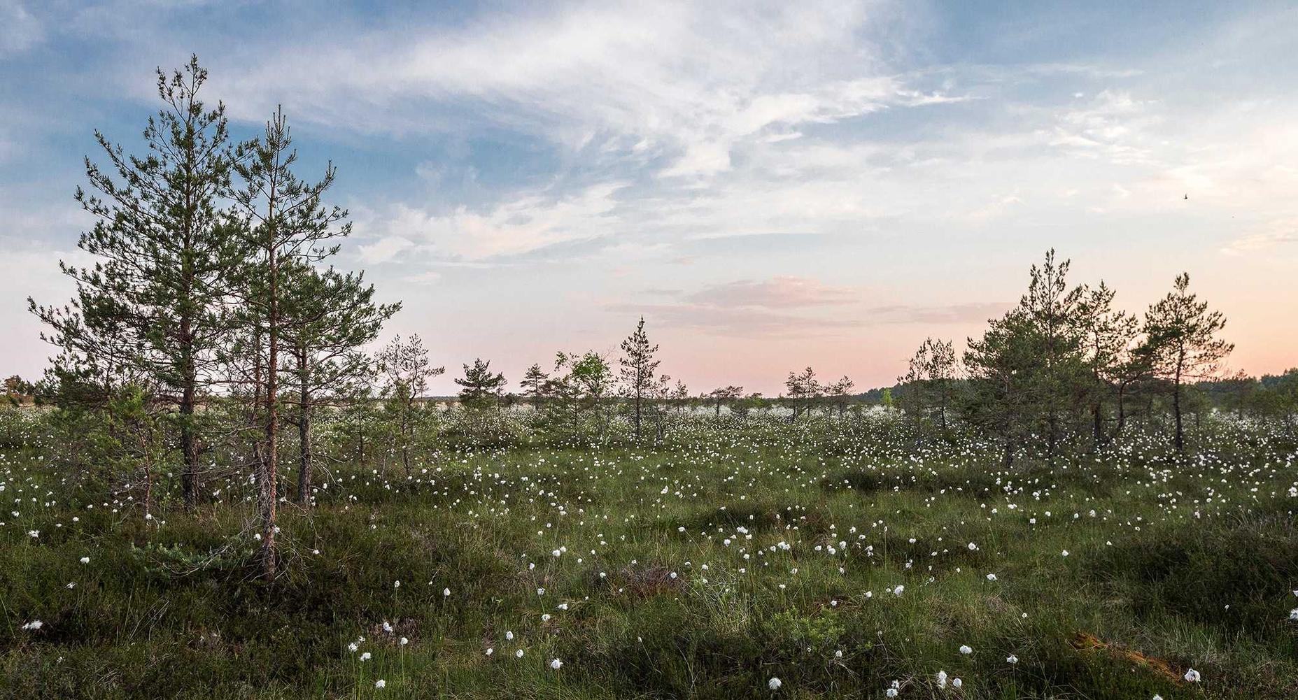 【支付搭建】易支付-聚合支付-易支付系统【包监控】橙色舞台