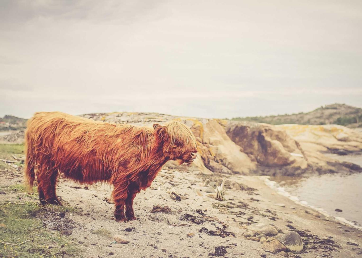 郑州讯捷实名账号:详情下载教程儿童星app