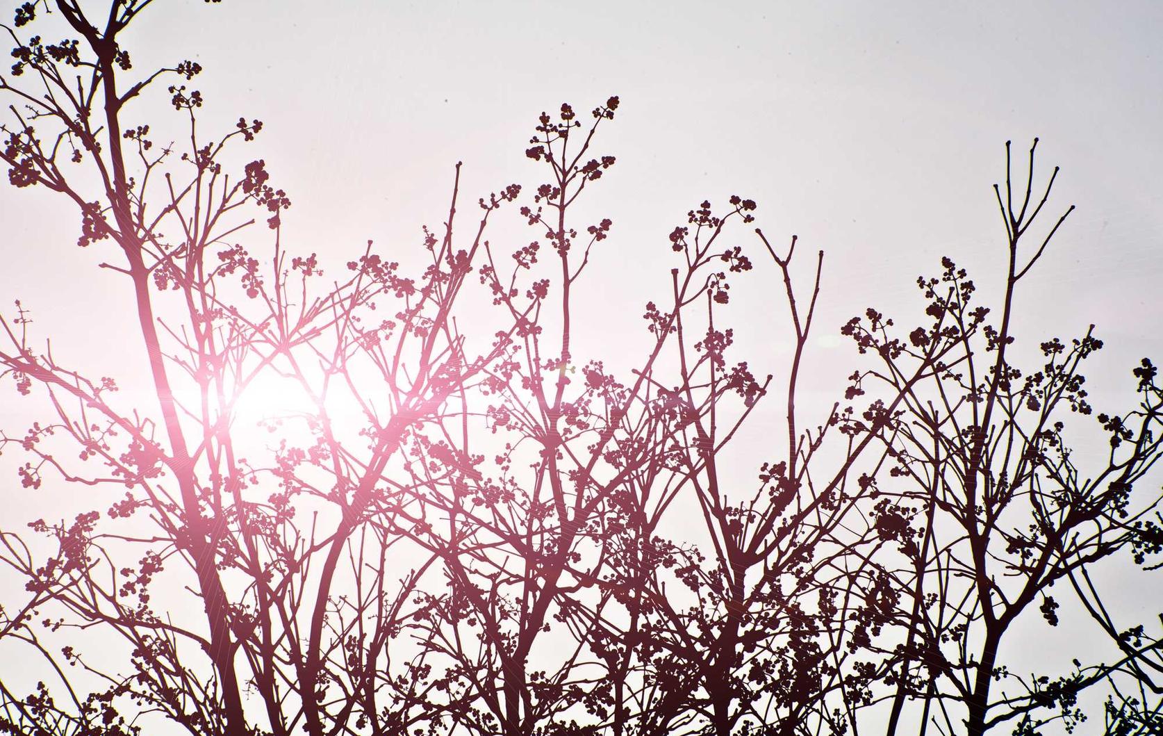 华润娱乐，注册|廊坊清香型白酒代理平台