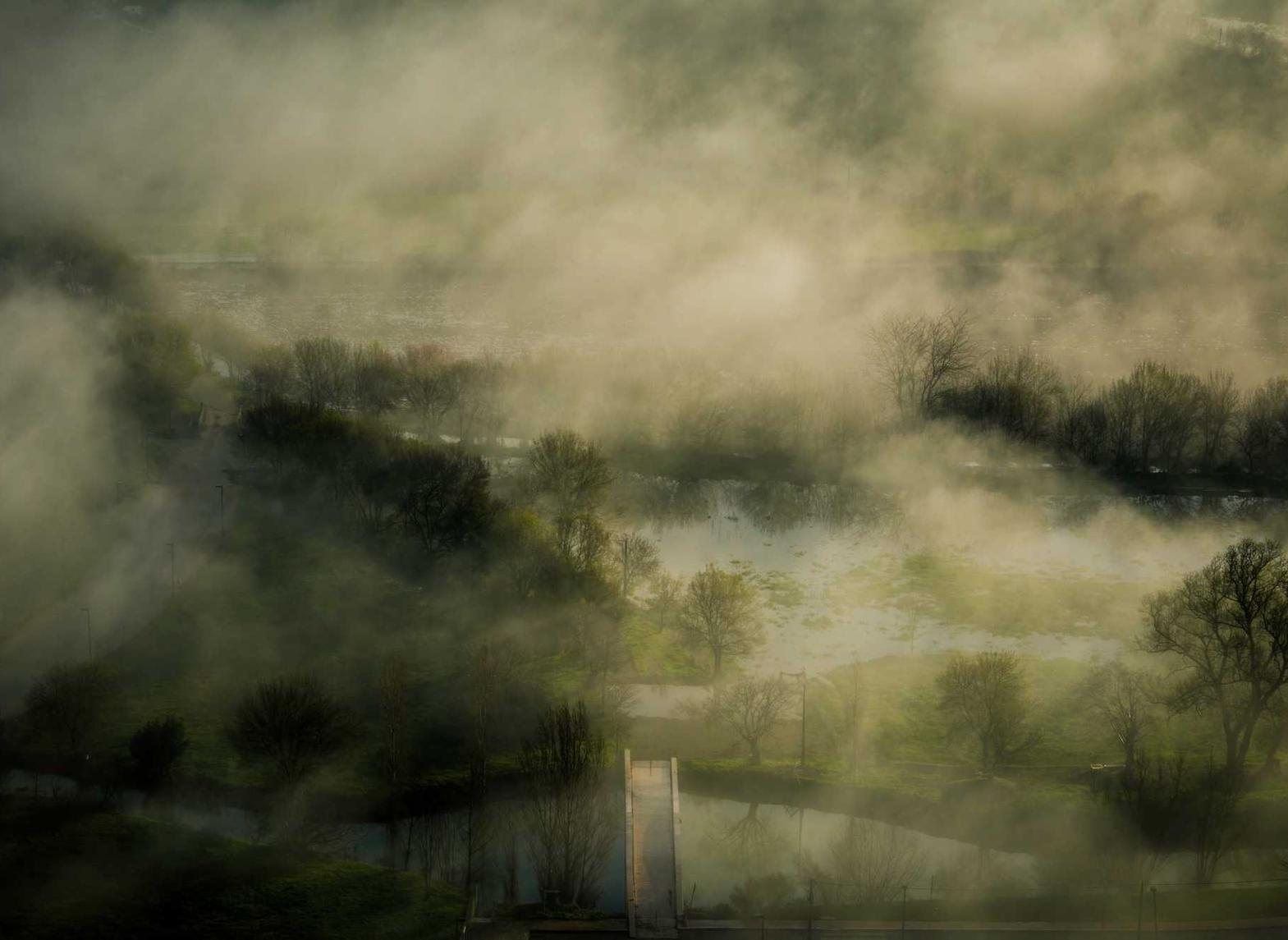 网信移动实名账号:书画平台代理哪个好