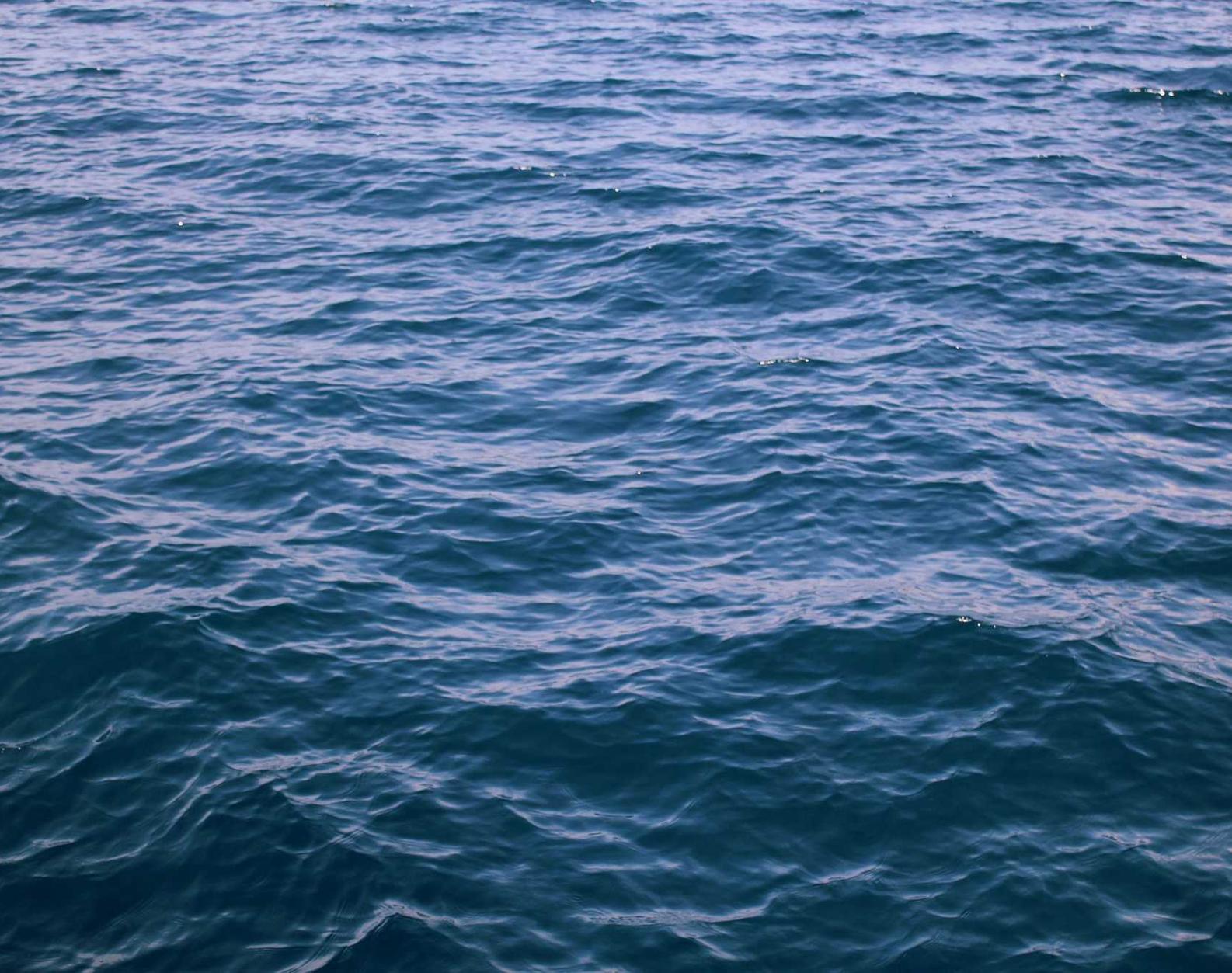 技术支持辅助如何影响游戏中的虚拟经济 