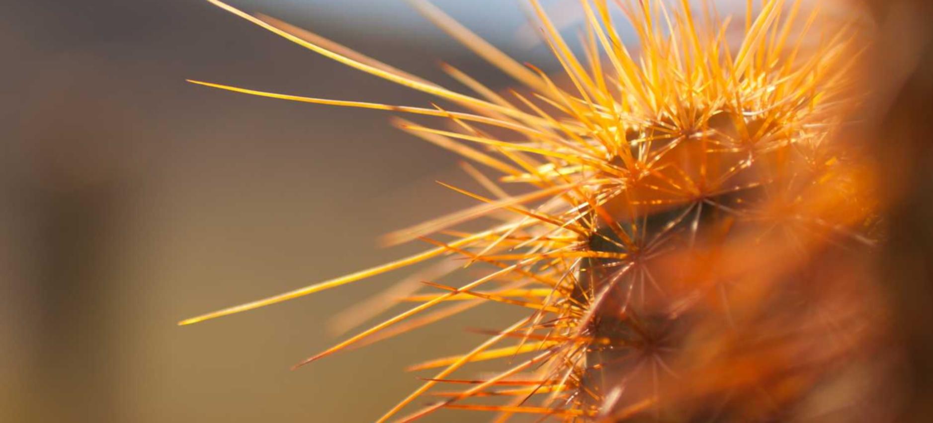 武侠Q传:福建宽带ip代理平台