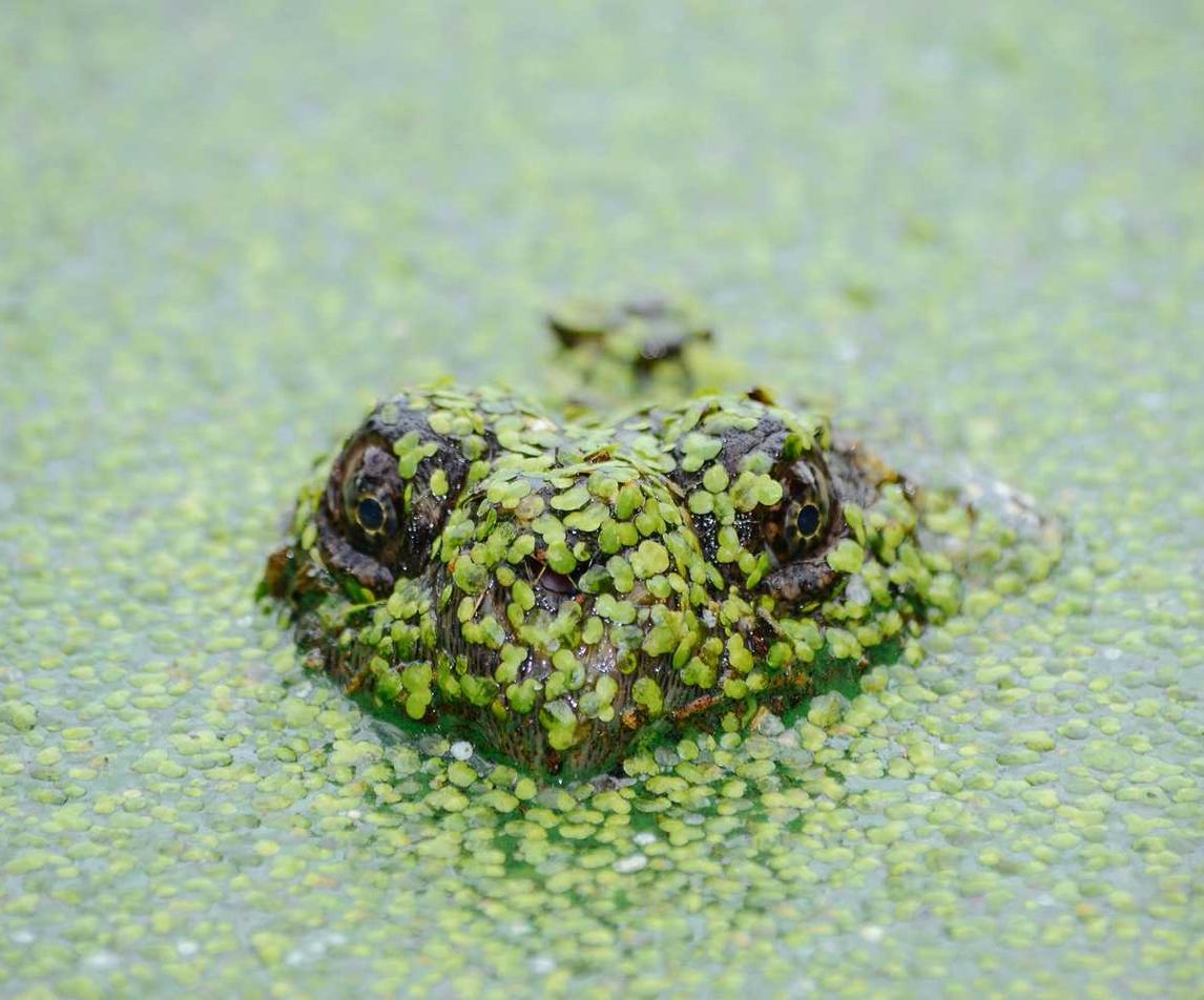 香烟品牌文化的辨析和讨论