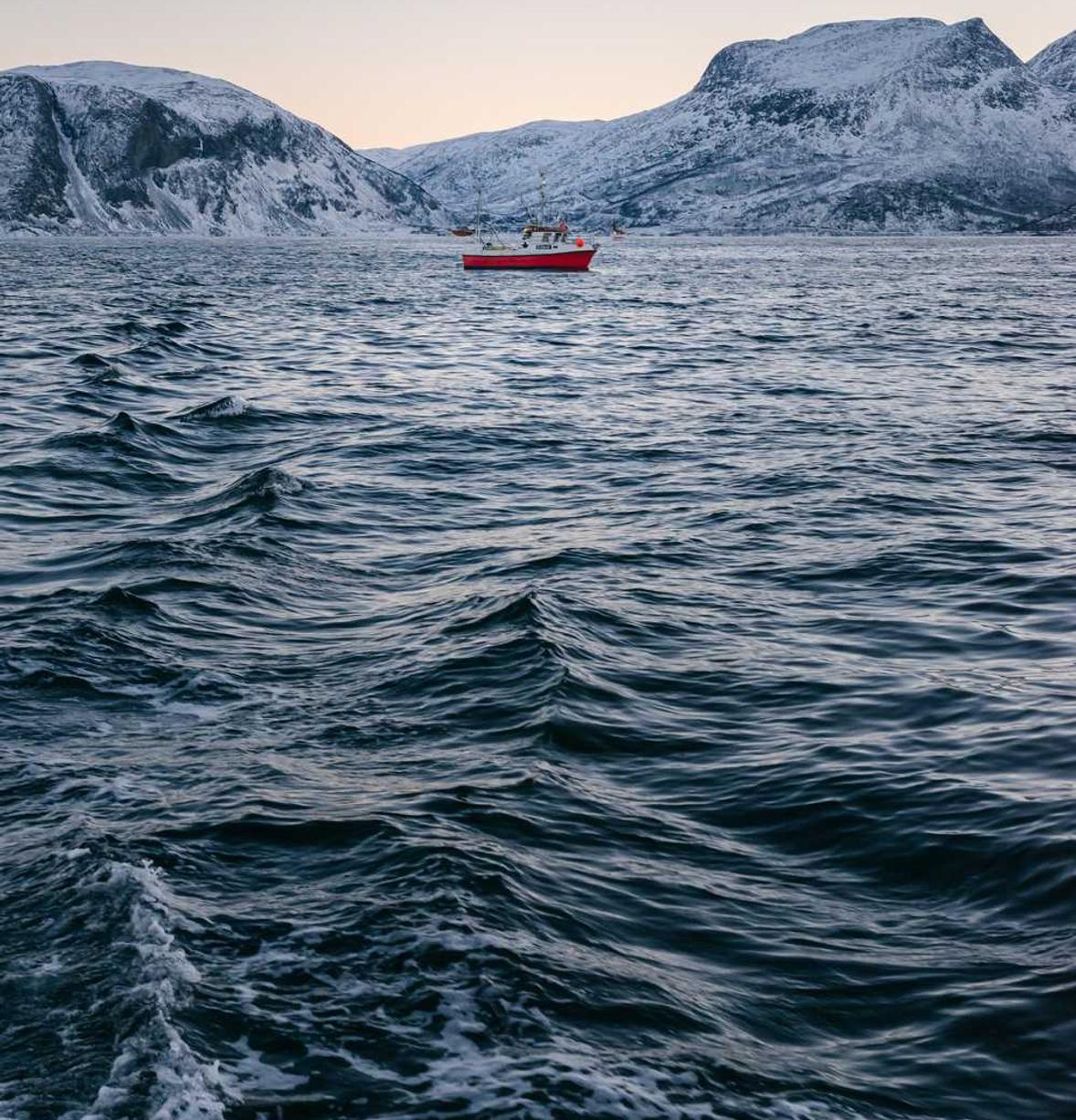 奥奇传说：317护app详情下载教程