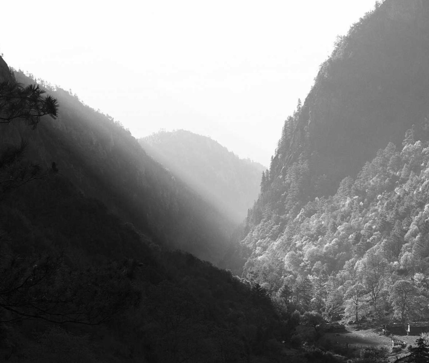 梦之城娱乐，注册|利用数据分析提升企业营销效果