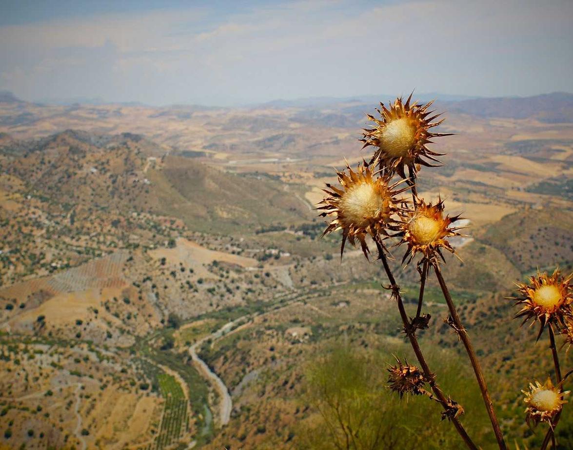 SEO和内容的交叉点：为什么需要好的内容