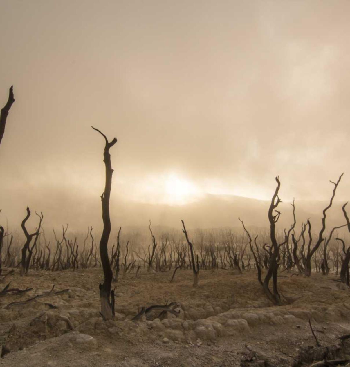 如何利用记事本SEO来优化效果